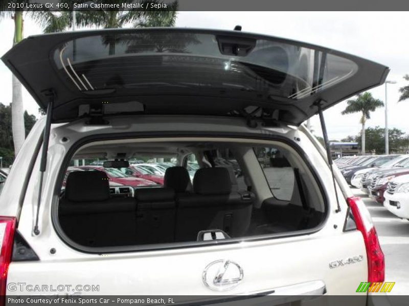 Satin Cashmere Metallic / Sepia 2010 Lexus GX 460