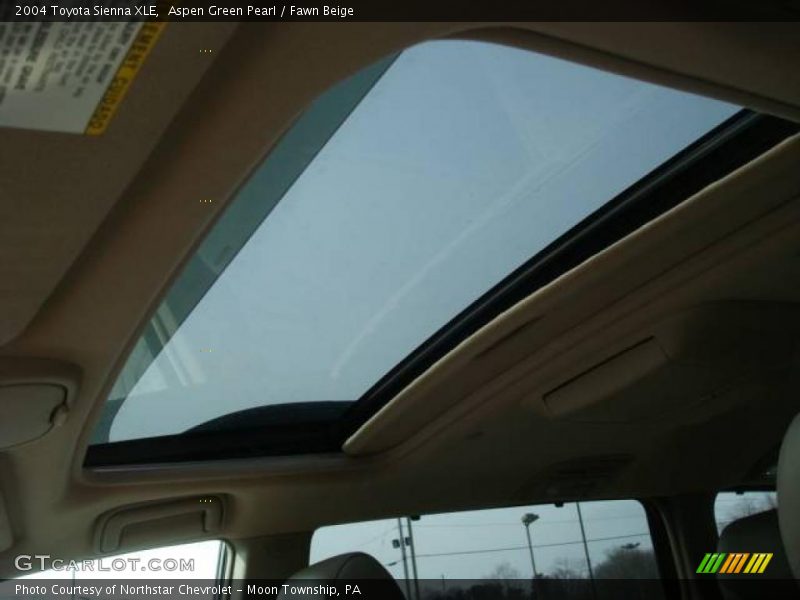 Aspen Green Pearl / Fawn Beige 2004 Toyota Sienna XLE