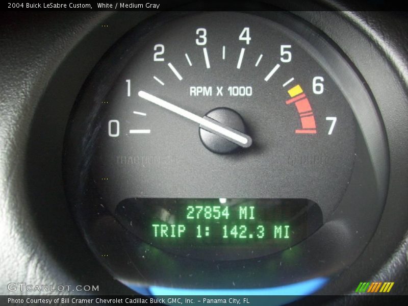 White / Medium Gray 2004 Buick LeSabre Custom