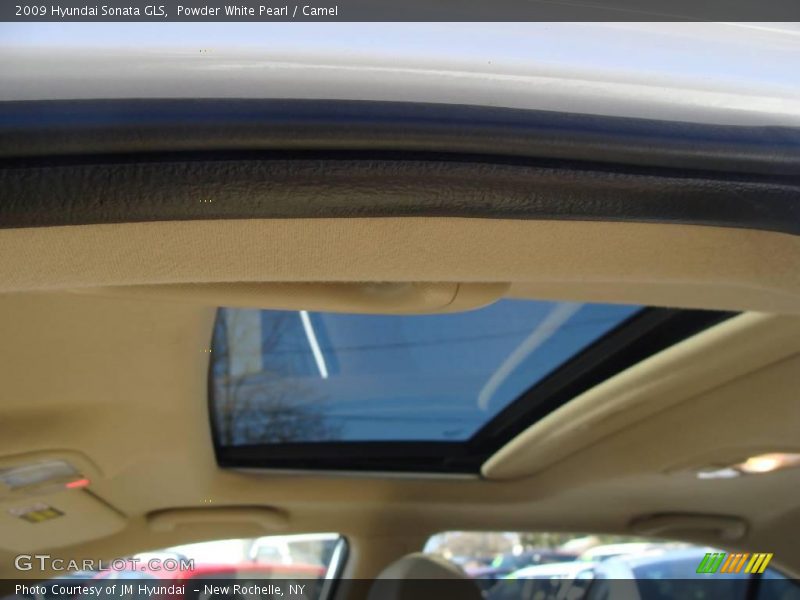 Powder White Pearl / Camel 2009 Hyundai Sonata GLS