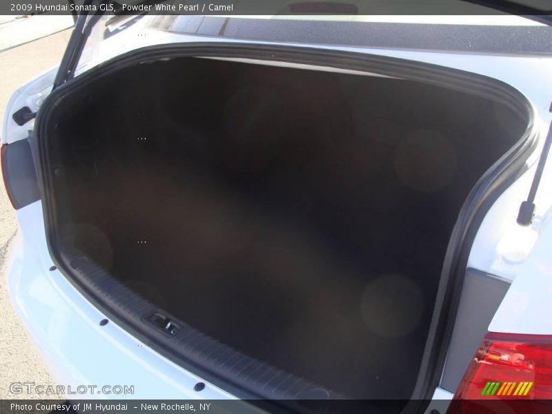 Powder White Pearl / Camel 2009 Hyundai Sonata GLS