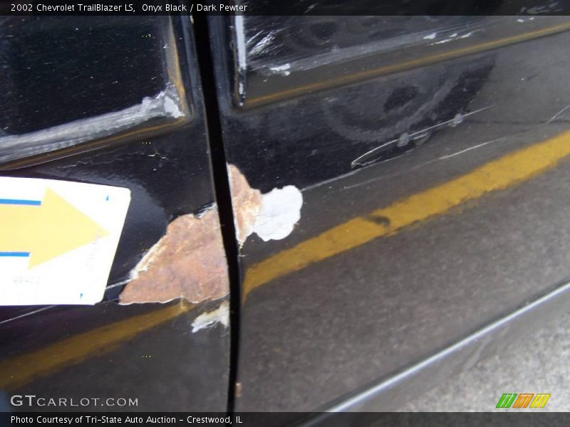 Onyx Black / Dark Pewter 2002 Chevrolet TrailBlazer LS