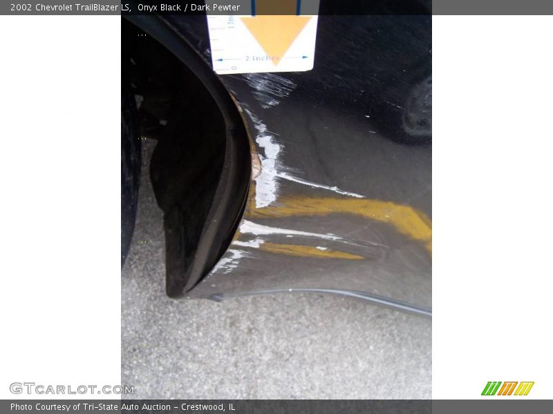 Onyx Black / Dark Pewter 2002 Chevrolet TrailBlazer LS