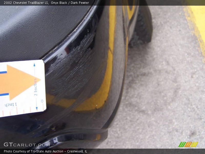Onyx Black / Dark Pewter 2002 Chevrolet TrailBlazer LS