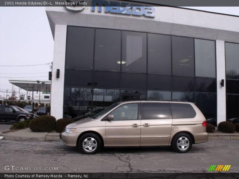 Mesa Beige / Ivory 2001 Honda Odyssey EX-L