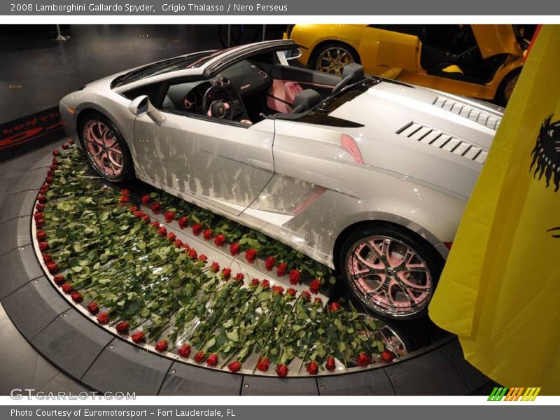 Grigio Thalasso / Nero Perseus 2008 Lamborghini Gallardo Spyder