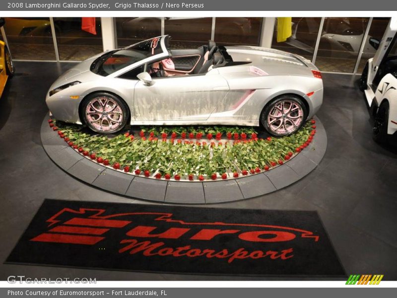 Grigio Thalasso / Nero Perseus 2008 Lamborghini Gallardo Spyder