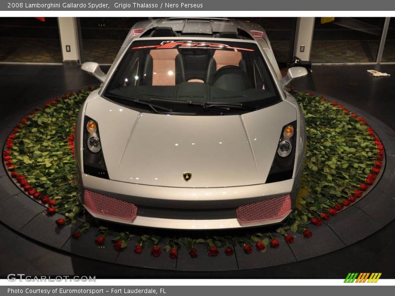 Grigio Thalasso / Nero Perseus 2008 Lamborghini Gallardo Spyder