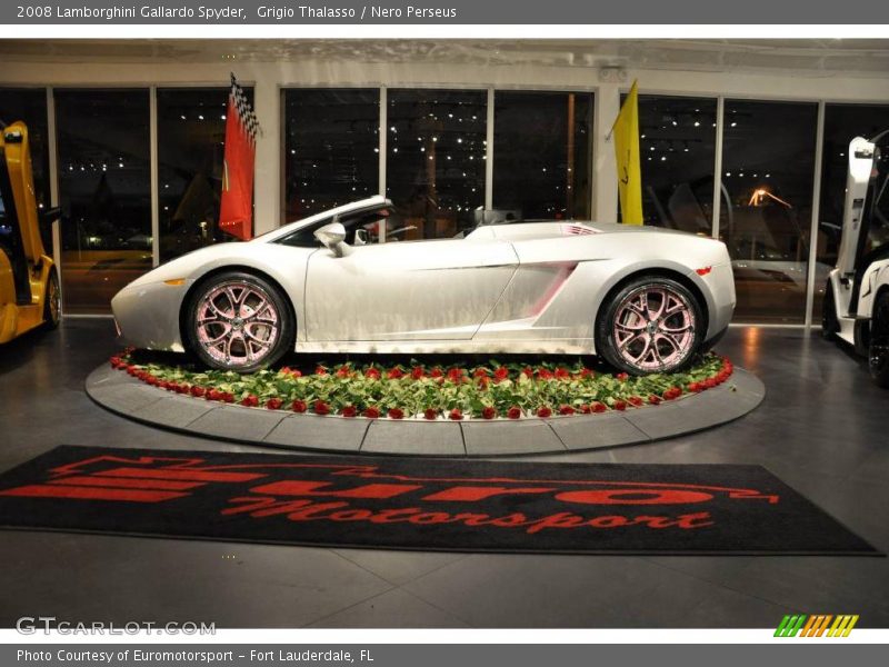 Grigio Thalasso / Nero Perseus 2008 Lamborghini Gallardo Spyder