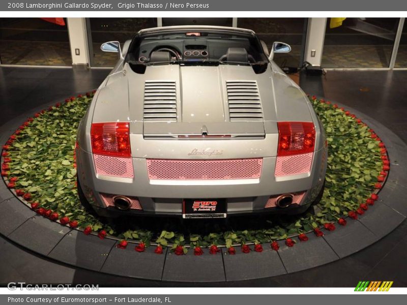 Grigio Thalasso / Nero Perseus 2008 Lamborghini Gallardo Spyder