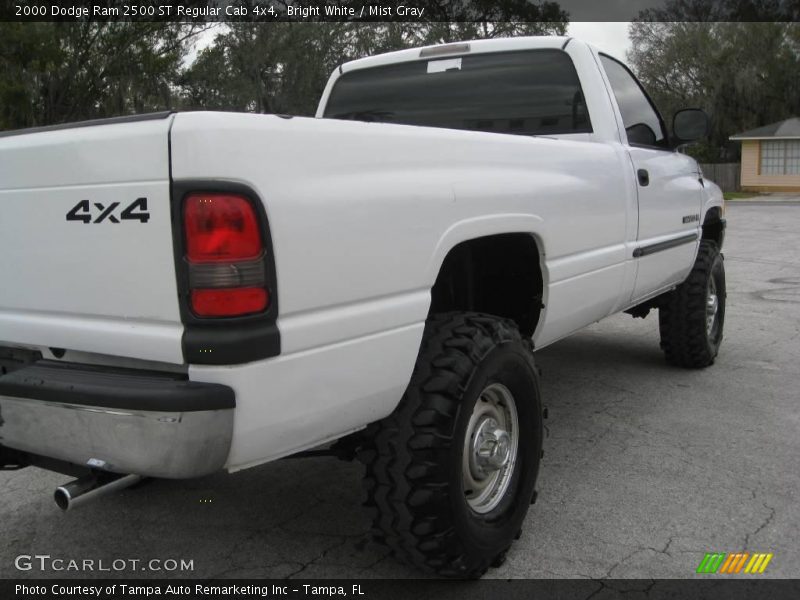 Bright White / Mist Gray 2000 Dodge Ram 2500 ST Regular Cab 4x4