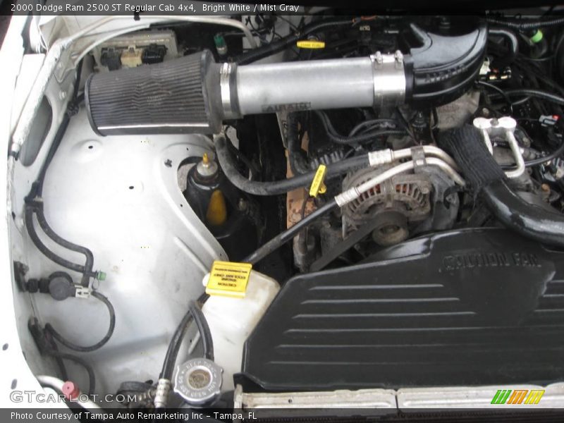 Bright White / Mist Gray 2000 Dodge Ram 2500 ST Regular Cab 4x4