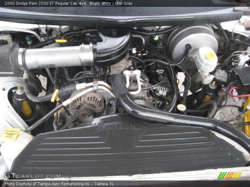 Bright White / Mist Gray 2000 Dodge Ram 2500 ST Regular Cab 4x4
