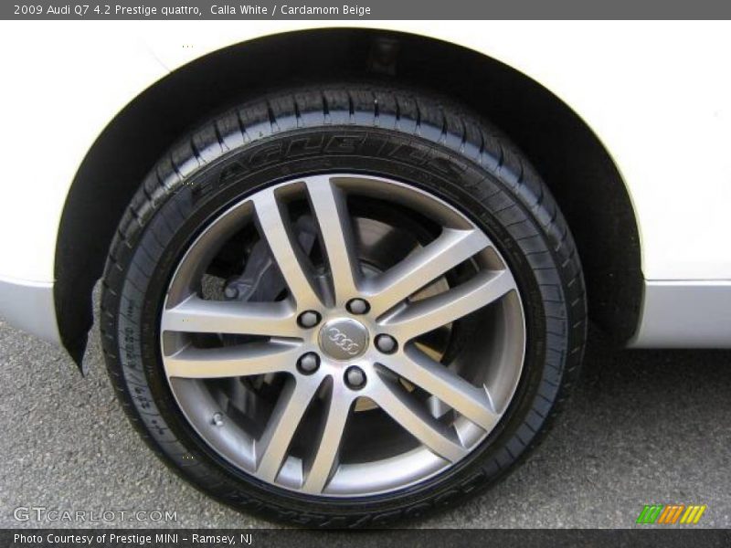 Calla White / Cardamom Beige 2009 Audi Q7 4.2 Prestige quattro