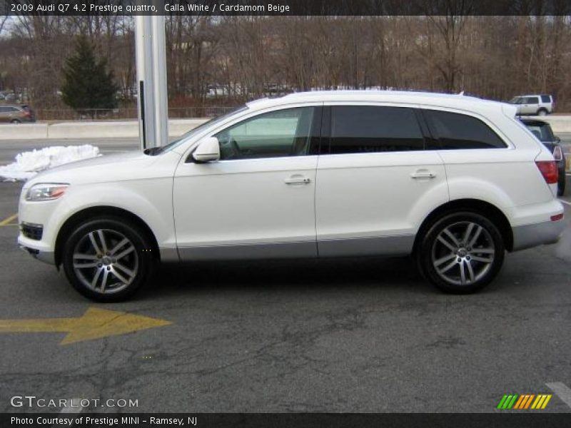 Calla White / Cardamom Beige 2009 Audi Q7 4.2 Prestige quattro