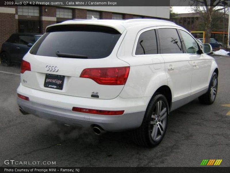 Calla White / Cardamom Beige 2009 Audi Q7 4.2 Prestige quattro
