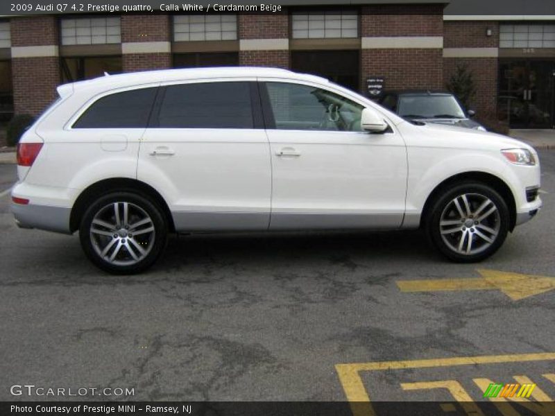 Calla White / Cardamom Beige 2009 Audi Q7 4.2 Prestige quattro