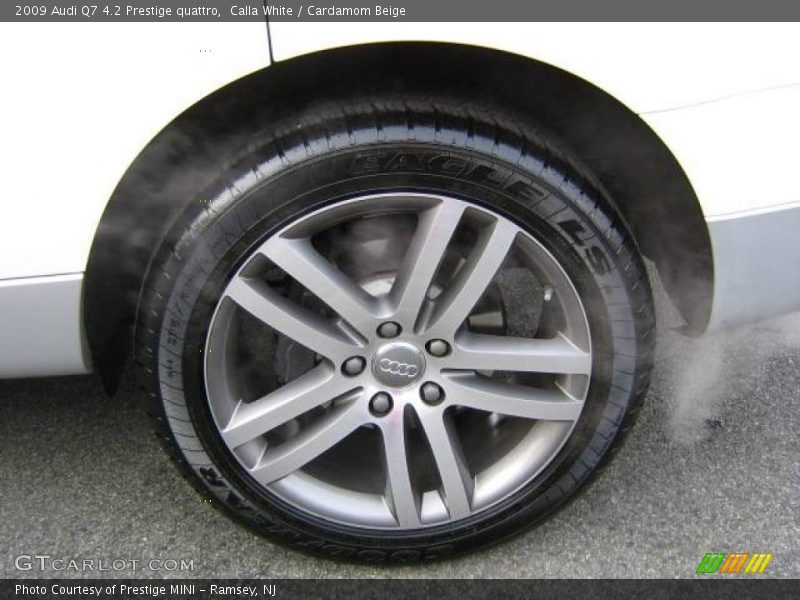 Calla White / Cardamom Beige 2009 Audi Q7 4.2 Prestige quattro