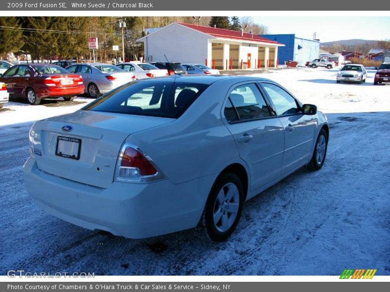 White Suede / Charcoal Black 2009 Ford Fusion SE