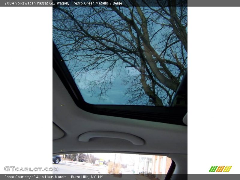 Fresco Green Metallic / Beige 2004 Volkswagen Passat GLS Wagon