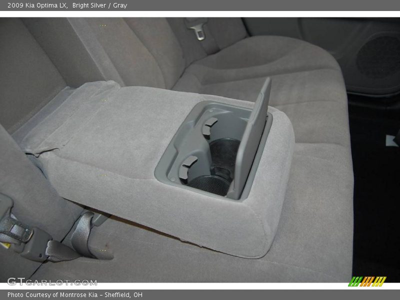 Bright Silver / Gray 2009 Kia Optima LX