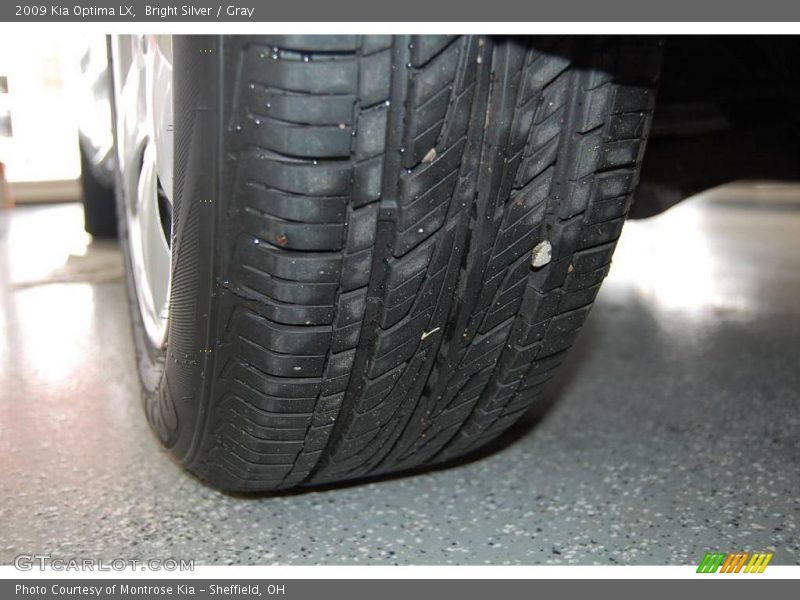 Bright Silver / Gray 2009 Kia Optima LX