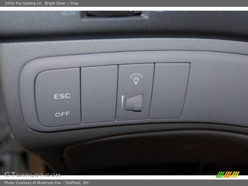 Bright Silver / Gray 2009 Kia Optima LX