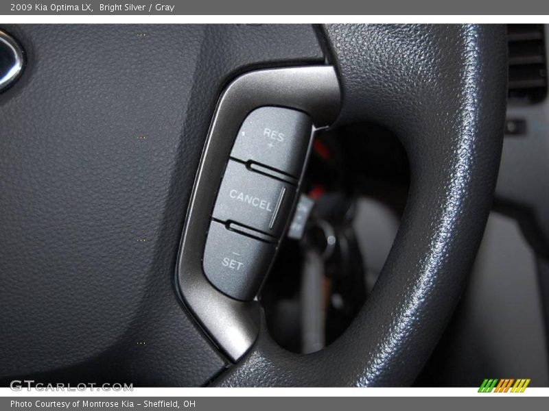 Bright Silver / Gray 2009 Kia Optima LX
