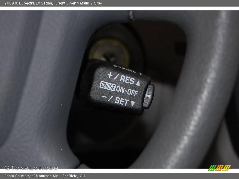 Bright Silver Metallic / Gray 2009 Kia Spectra EX Sedan