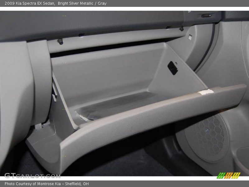 Bright Silver Metallic / Gray 2009 Kia Spectra EX Sedan