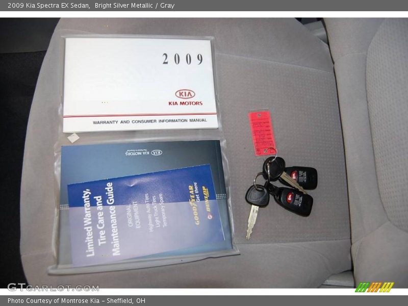 Bright Silver Metallic / Gray 2009 Kia Spectra EX Sedan