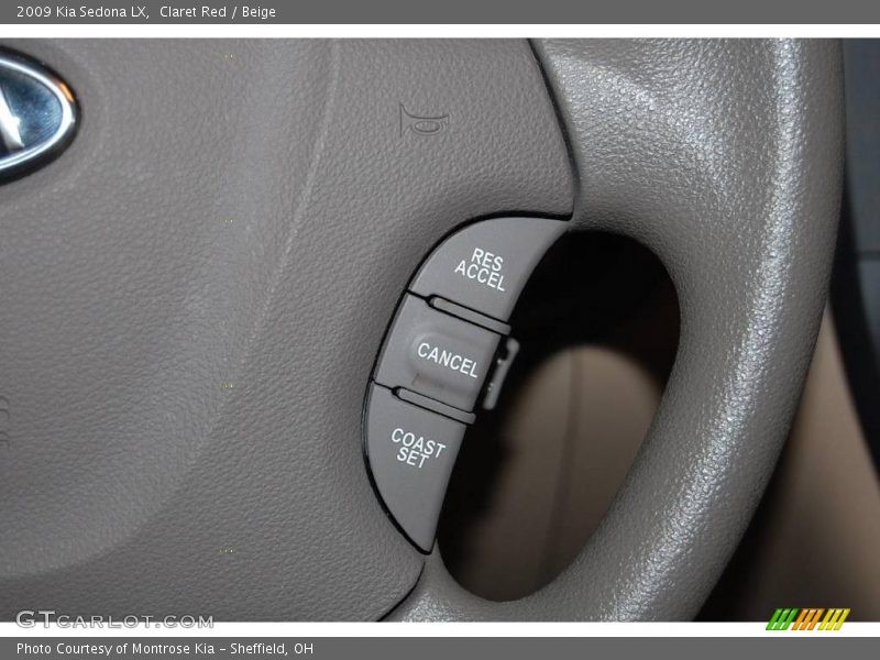 Claret Red / Beige 2009 Kia Sedona LX