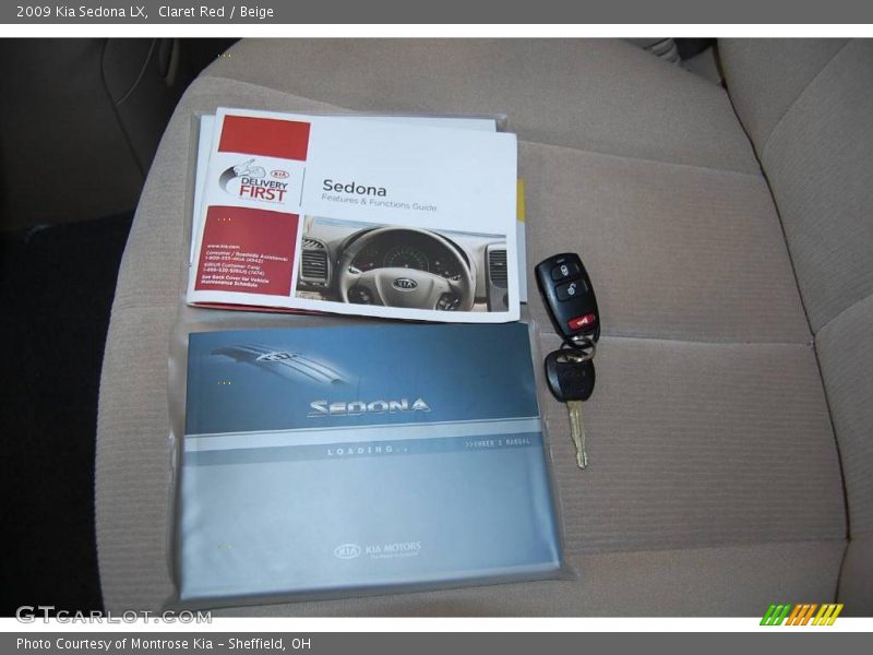 Claret Red / Beige 2009 Kia Sedona LX