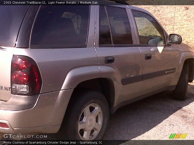 Light Pewter Metallic / Medium Oak 2003 Chevrolet TrailBlazer LS