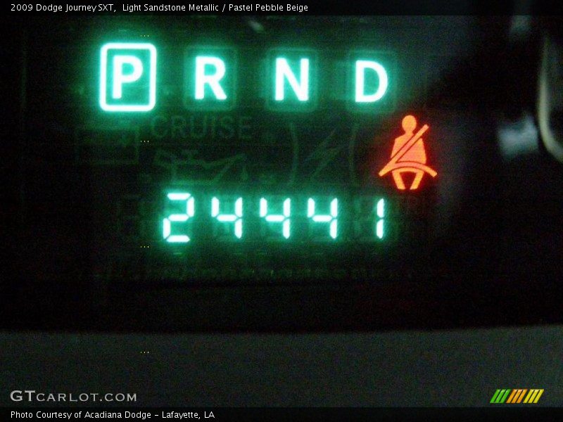 Light Sandstone Metallic / Pastel Pebble Beige 2009 Dodge Journey SXT