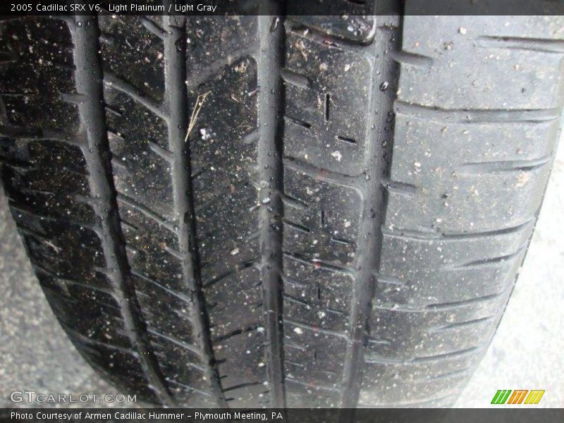 Light Platinum / Light Gray 2005 Cadillac SRX V6