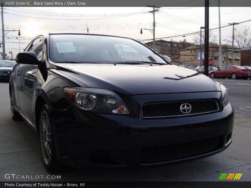 Black Sand Mica / Dark Gray 2005 Scion tC