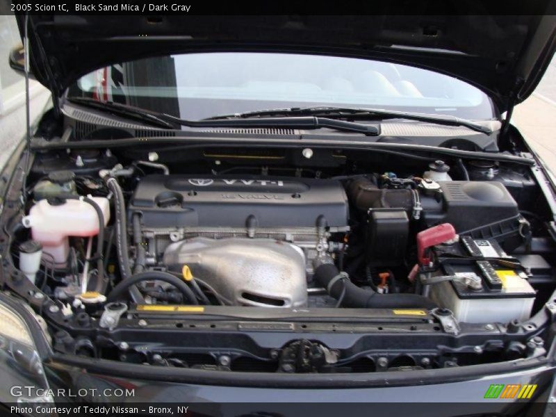 Black Sand Mica / Dark Gray 2005 Scion tC