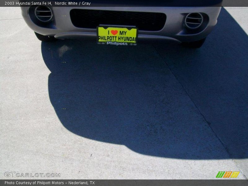Nordic White / Gray 2003 Hyundai Santa Fe I4