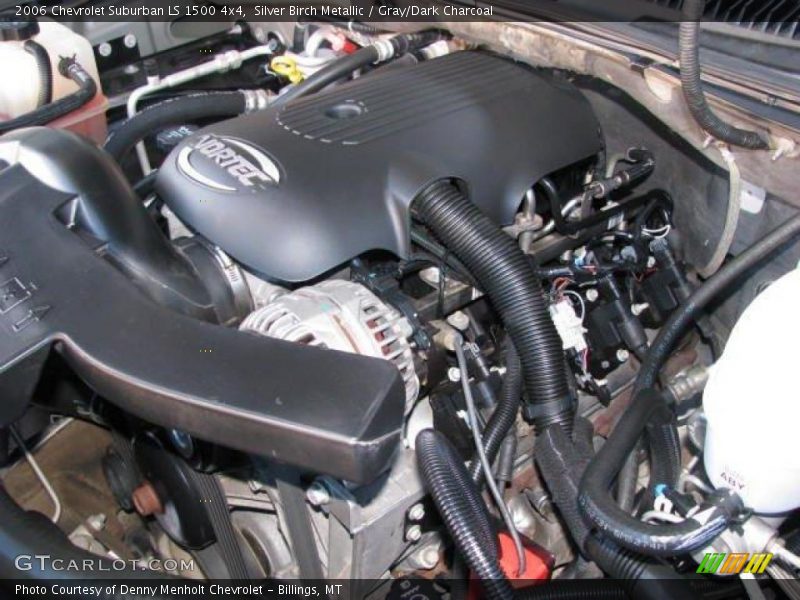 Silver Birch Metallic / Gray/Dark Charcoal 2006 Chevrolet Suburban LS 1500 4x4