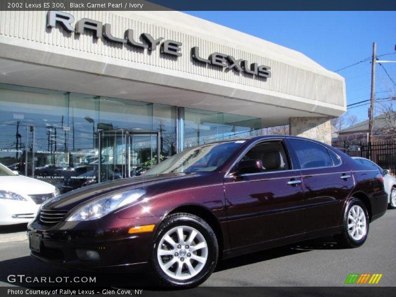 Black Garnet Pearl / Ivory 2002 Lexus ES 300