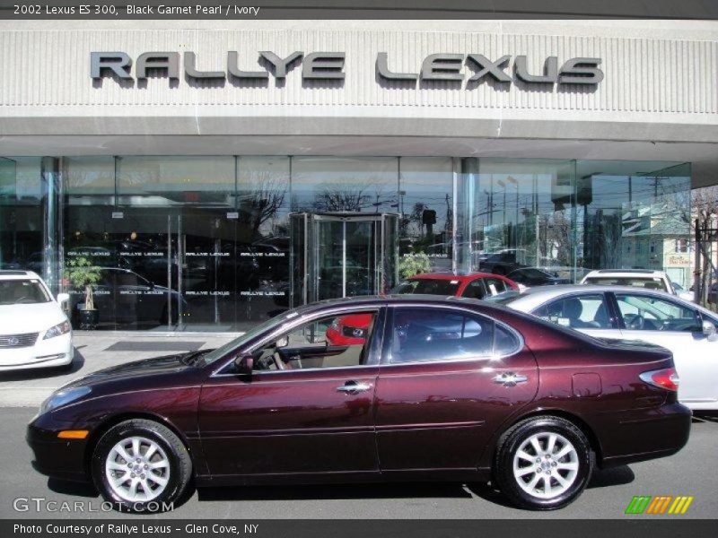 Black Garnet Pearl / Ivory 2002 Lexus ES 300