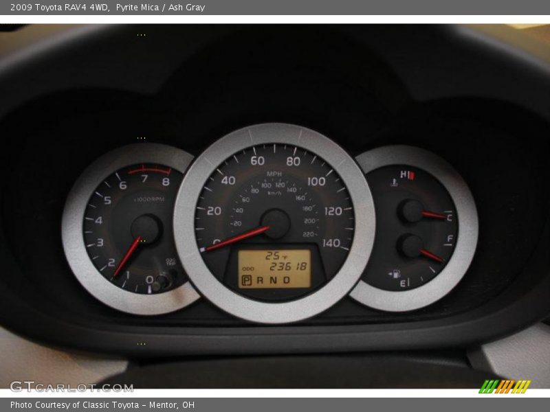 Pyrite Mica / Ash Gray 2009 Toyota RAV4 4WD