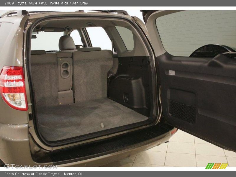 Pyrite Mica / Ash Gray 2009 Toyota RAV4 4WD