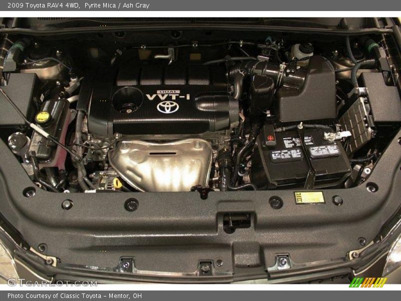 Pyrite Mica / Ash Gray 2009 Toyota RAV4 4WD