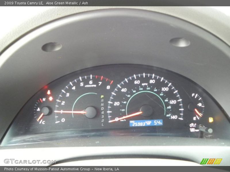 Aloe Green Metallic / Ash 2009 Toyota Camry LE