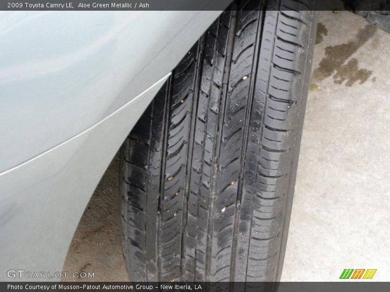 Aloe Green Metallic / Ash 2009 Toyota Camry LE