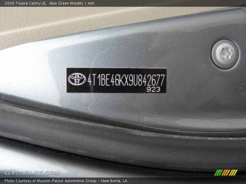 Aloe Green Metallic / Ash 2009 Toyota Camry LE