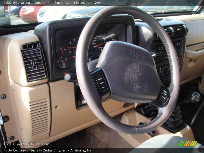 Black / Camel Beige/Dark Green 2002 Jeep Wrangler Sahara 4x4