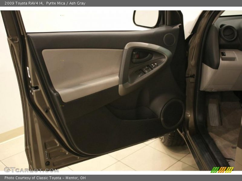 Pyrite Mica / Ash Gray 2009 Toyota RAV4 I4